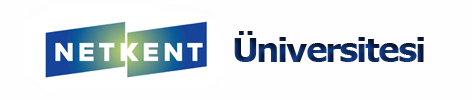 Netkent Üniversitesi