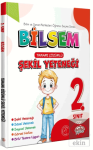 2. Sınıf Bilsem Hazırlık Şekil Yeteneği Tamamı Çözümlü