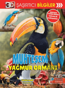 3D Şaşırtıcı Bilgiler - Muhteşem Yağmur Ormanı