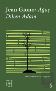 Ağaç Diken Adam - Everest Açıkhava 17