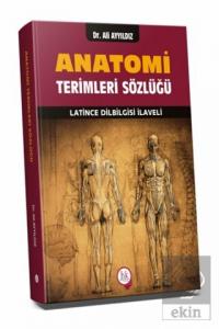 Anatomi Terimleri Sözlüğü