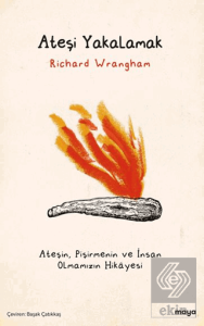 Ateşi Yakalamak