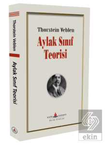 Aylak Sınıf Teorisi