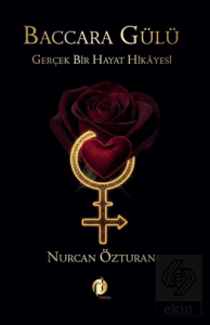 Baccara Gülü