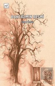 Baktığımın Resmi