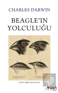 Beagleın Yolculuğu
