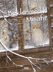 Beklenmedik Misafir