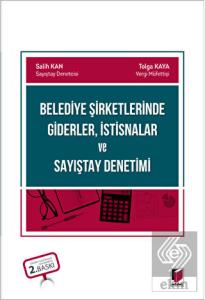 Belediye Şirketlerinde Giderler, İstisnalar ve Say