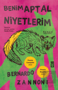 Benim Aptal Niyetlerim