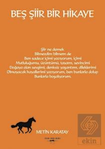 Beş Şiir Bir Hikaye