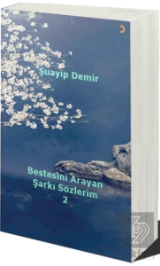 Bestesini Arayan Şarkı Sözlerim 2