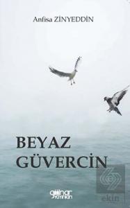 Beyaz Güvercin