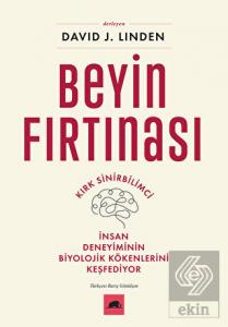 Beyin Fırtınası