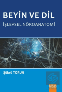Beyin ve Dil İşlevsel Nöroanatomi