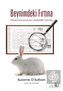 Beynimdeki Fırtına