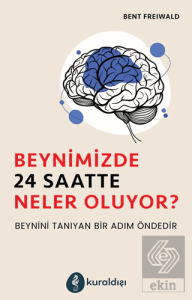 Beynimizde 24 Saatte Neler Oluyor?