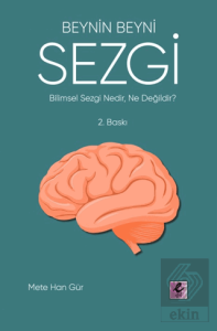 Beynin Beyni Sezgi