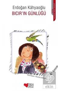 Bıcır'ın Günlüğü