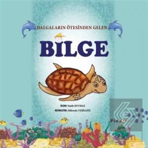Bilge