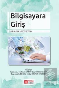 Bilgisayara Giriş