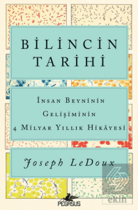 Bilincin Tarihi: İnsan Beyninin Gelişiminin 4 Milyar Yıllık Hikayesi