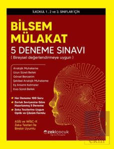 Bilsem Mülakat 5 Deneme