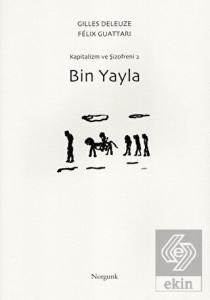 Bin Yayla