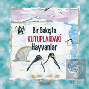 Bir Bakışta Kutuplardaki Hayvanlar