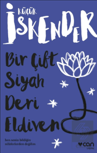 Bir Çift Siyah Deri Eldiven