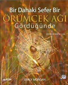 Bir Dahaki Sefer Bir Örümcek Ağı Gördüğünde