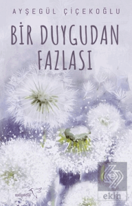 Bir Duygudan Fazlası