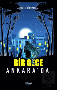 Bir Gece Ankara'da