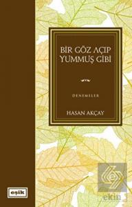 Bir Göz Açıp Yummuş Gibi