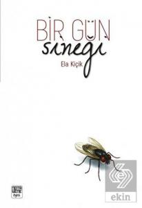 Bir Gün Sineği