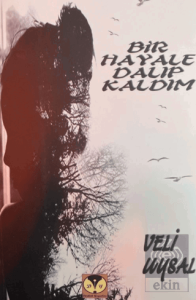 Bir Hayale Dalıp Kaldım