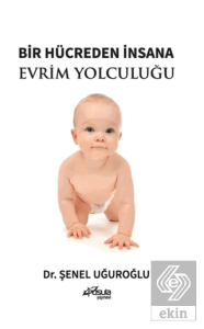 Bir Hücreden İnsana Evrim Yolculuğu
