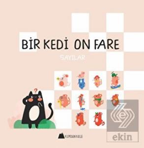Bir Kedi On Fare - Sayılar