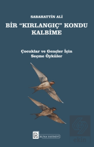 Bir Kırlangıç Kondu Kalbime