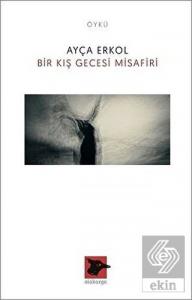 Bir Kış Gecesi Misafiri