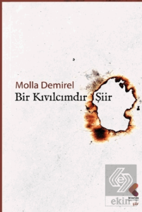 Bir Kıvılcımdır Şiir