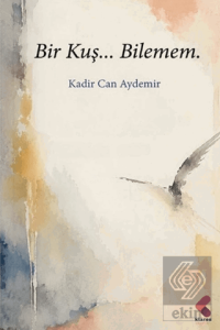 Bir Kuş… Bilemem.