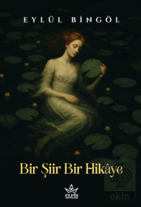 Bir Şiir Bir Hikâye