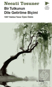 Bir Tutkunun Dile Getirilme Biçimi
