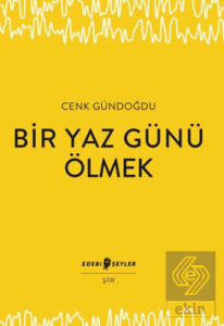 Bir Yaz Günü Ölmek
