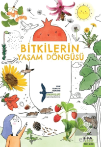 Bitkilerin Yaşam Döngüsü