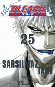 Bleach 25. Cilt