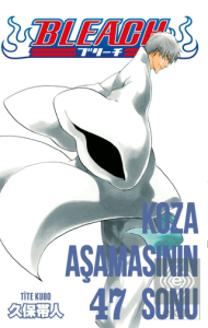 Bleach 47. Cilt