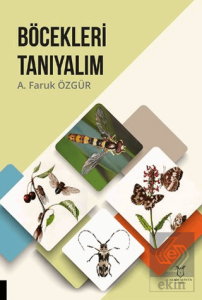 Böcekleri Tanıyalım