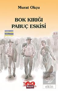 Bok Kırığı Pabuç Eskisi