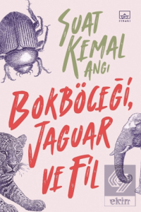 Bokböceği, Jaguar ve Fil